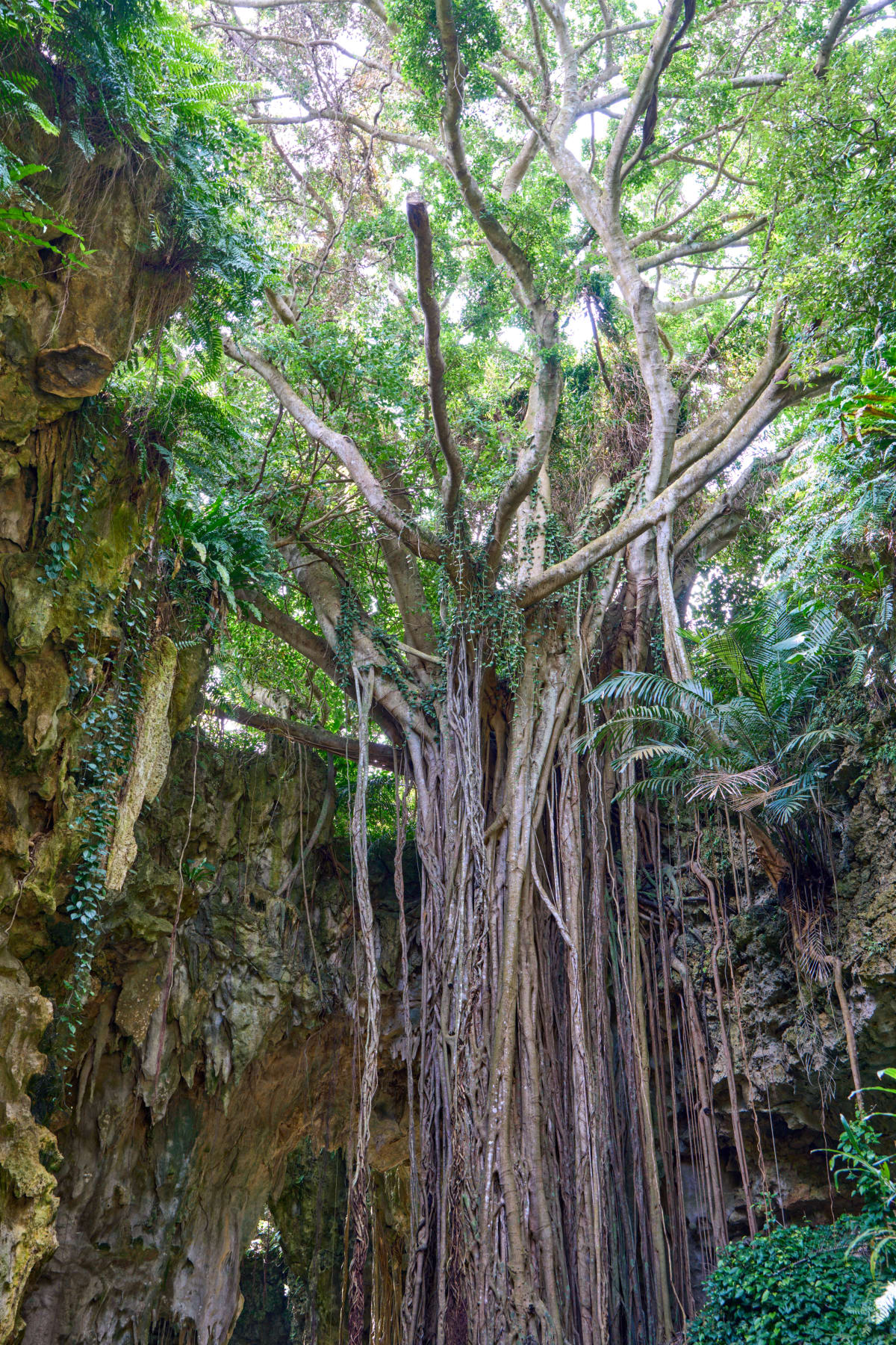 Okinawa - Okinawa | Landscapes of Japan