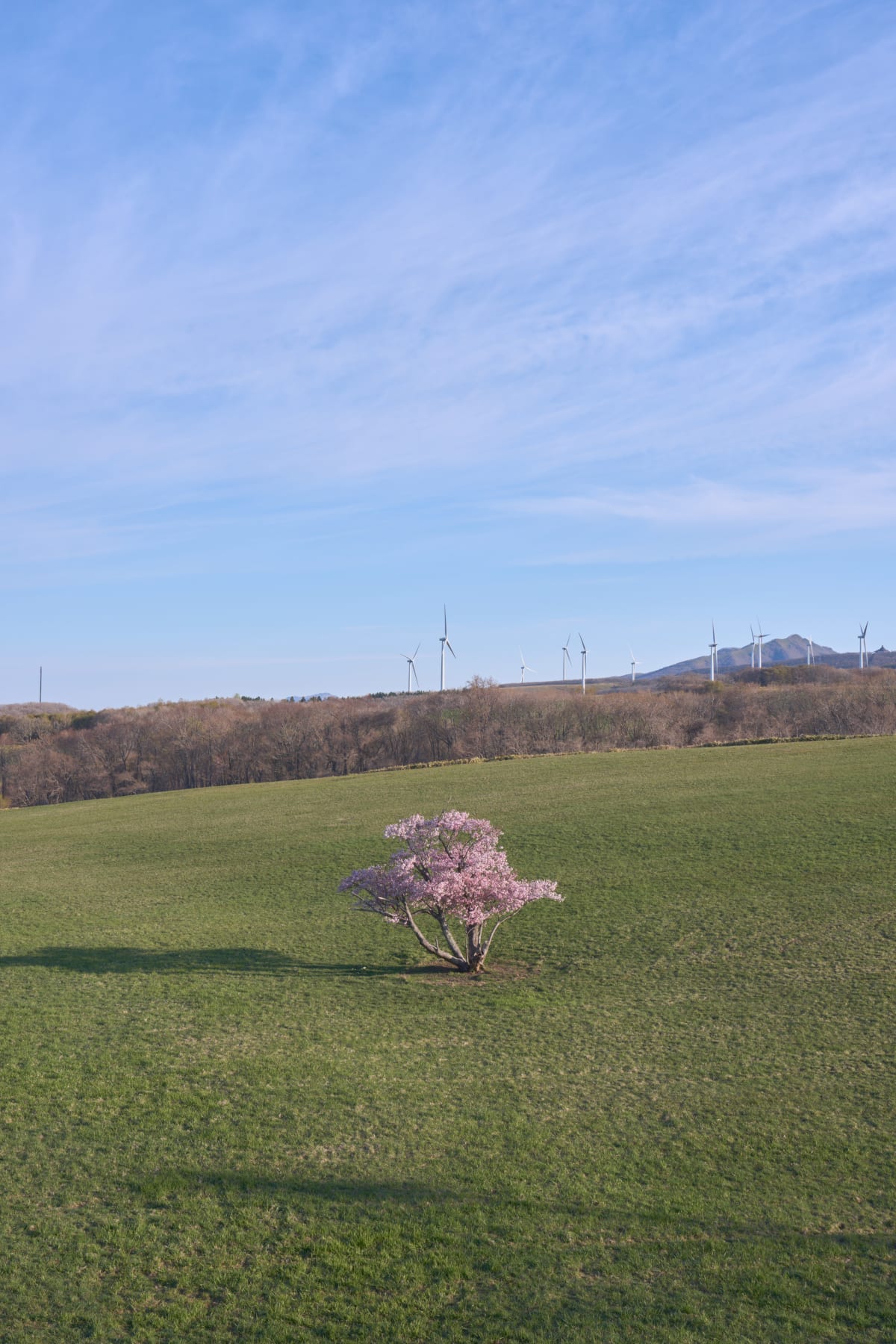 室蘭 (2026) | 北海道 | Landscapes of Japan