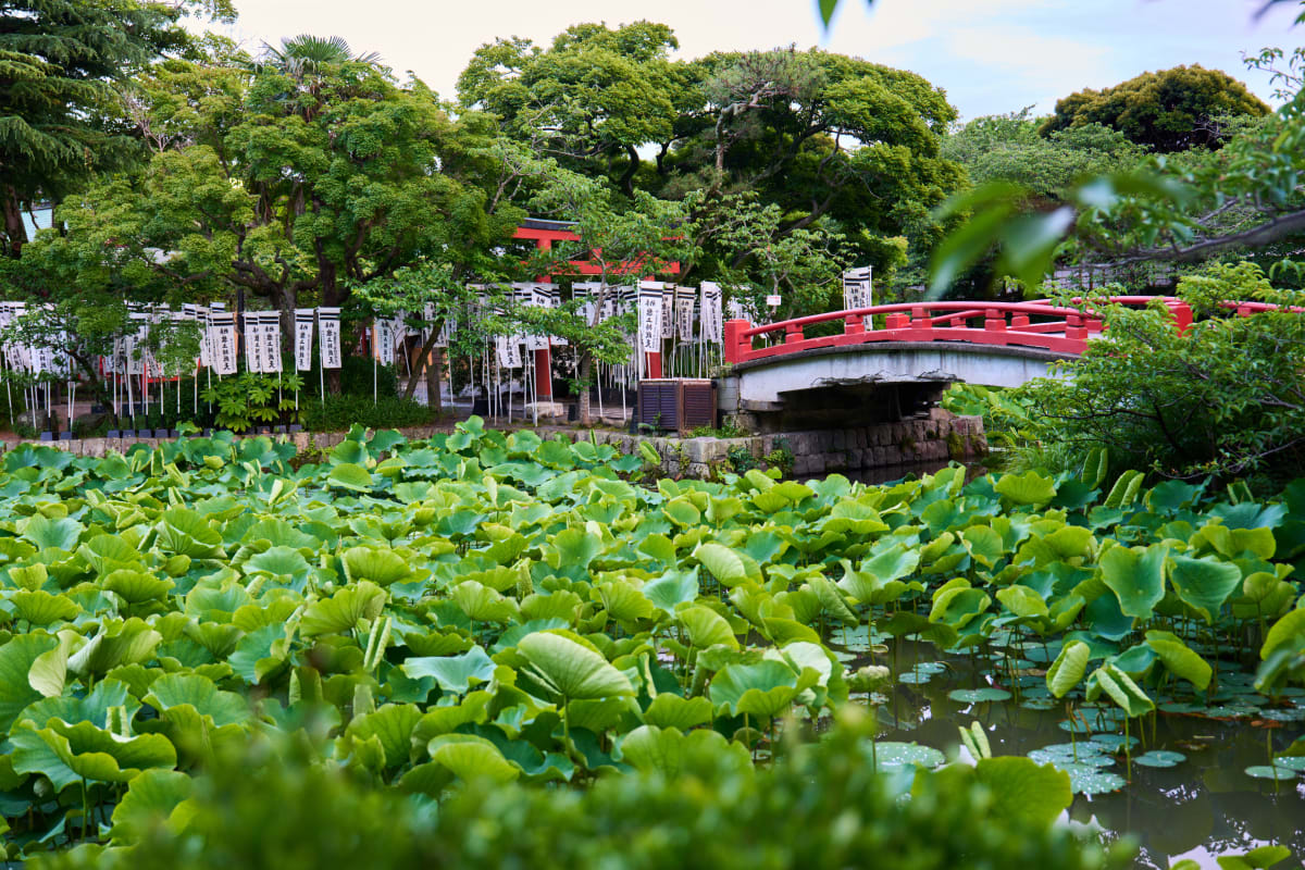 Kamakura - Kanagawa | Đền chùa