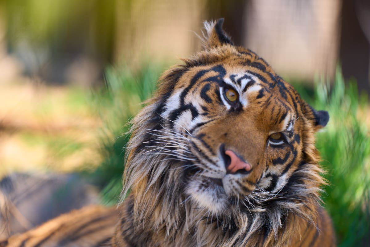 Higashiyama Zoo - Aichi | Landscapes of Japan