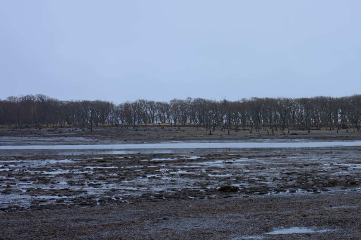 Notsuke Peninsula (2026) | Hokkaido | Landscapes of Japan