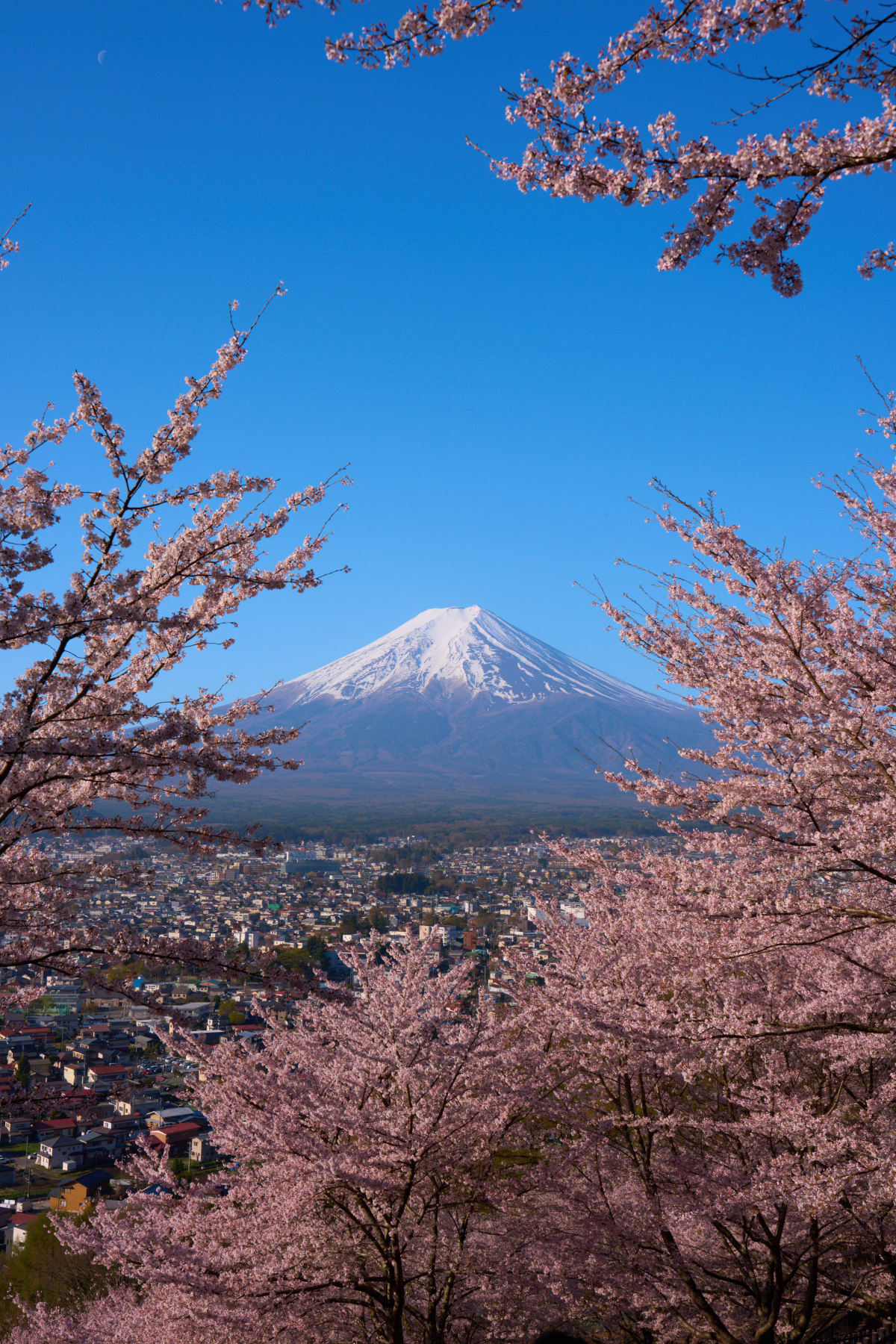 新倉山淺間公園 - 山梨縣 | #富士山