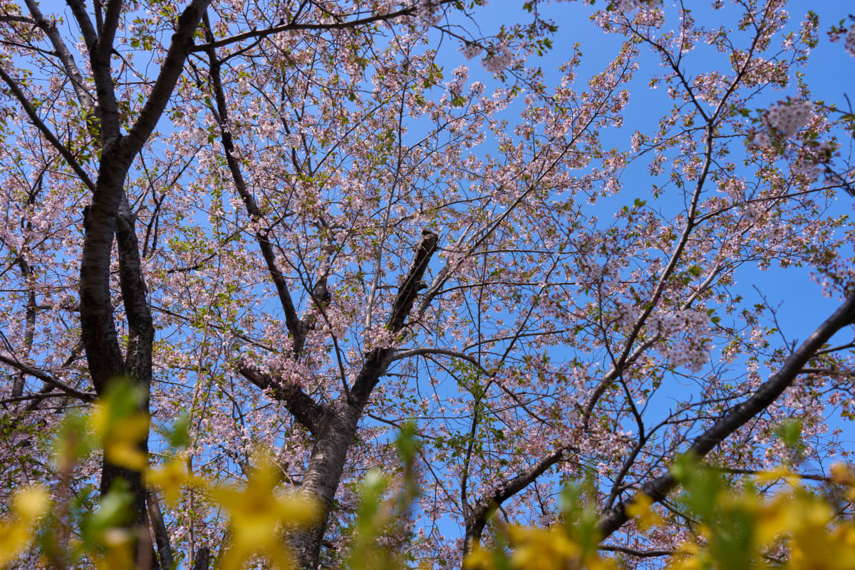 Bibai - Hokkaido | Landscapes of Japan