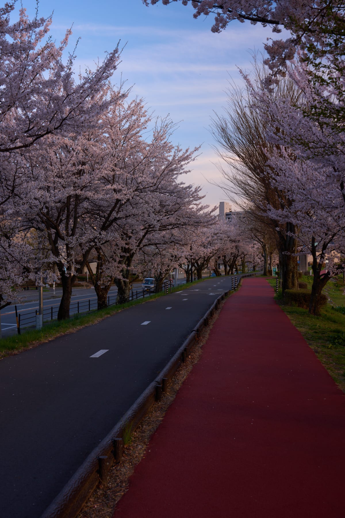 Hồ Suwa - Nagano | Landscapes of Japan