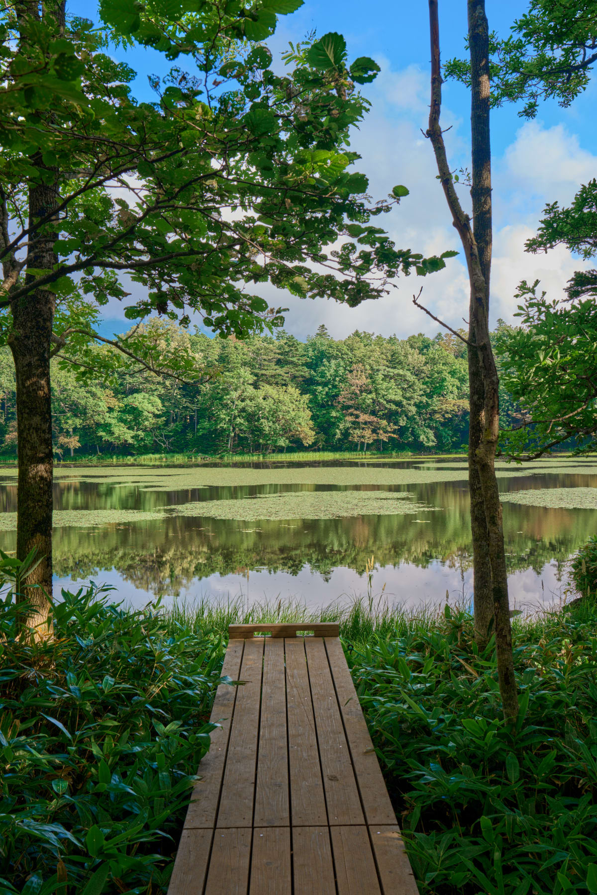 Shiretoko - Hokkaido | Landscapes of Japan