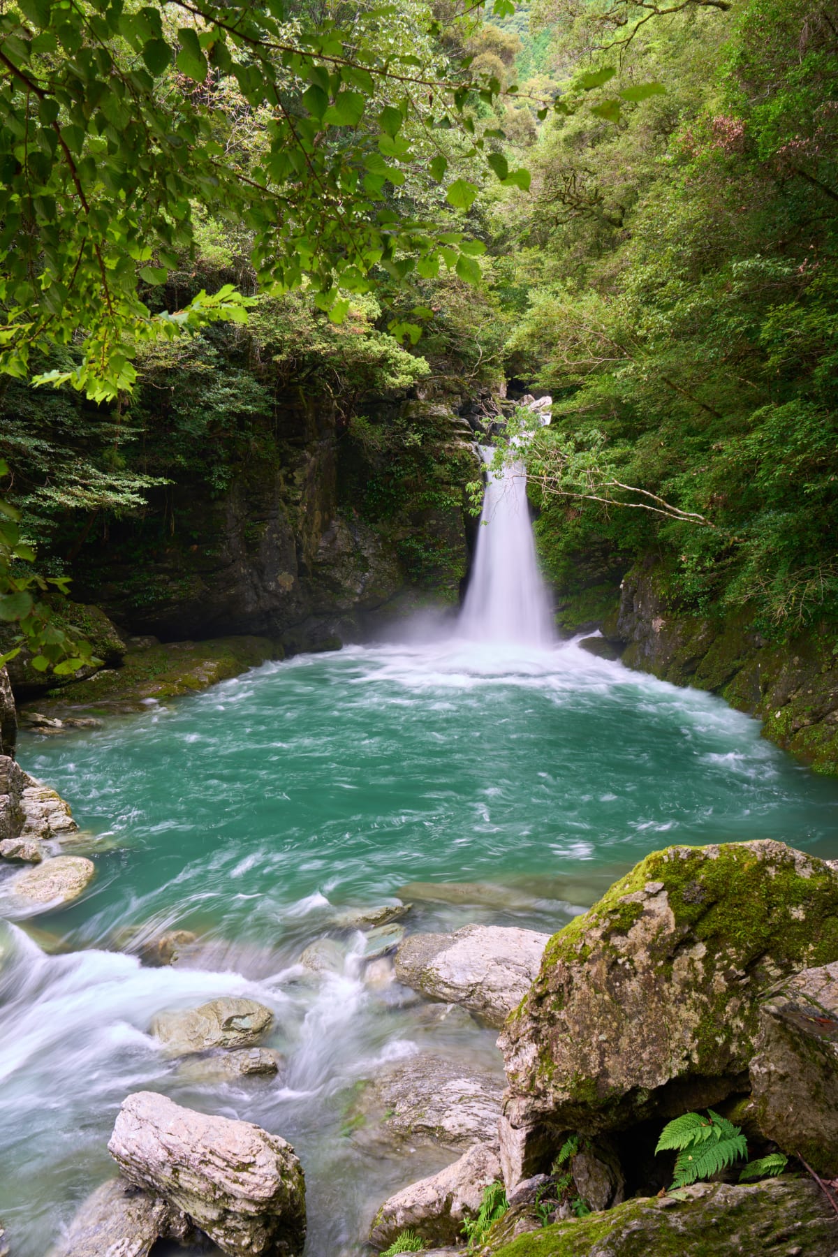 Niko-buchi - Kochi | Landscapes of Japan