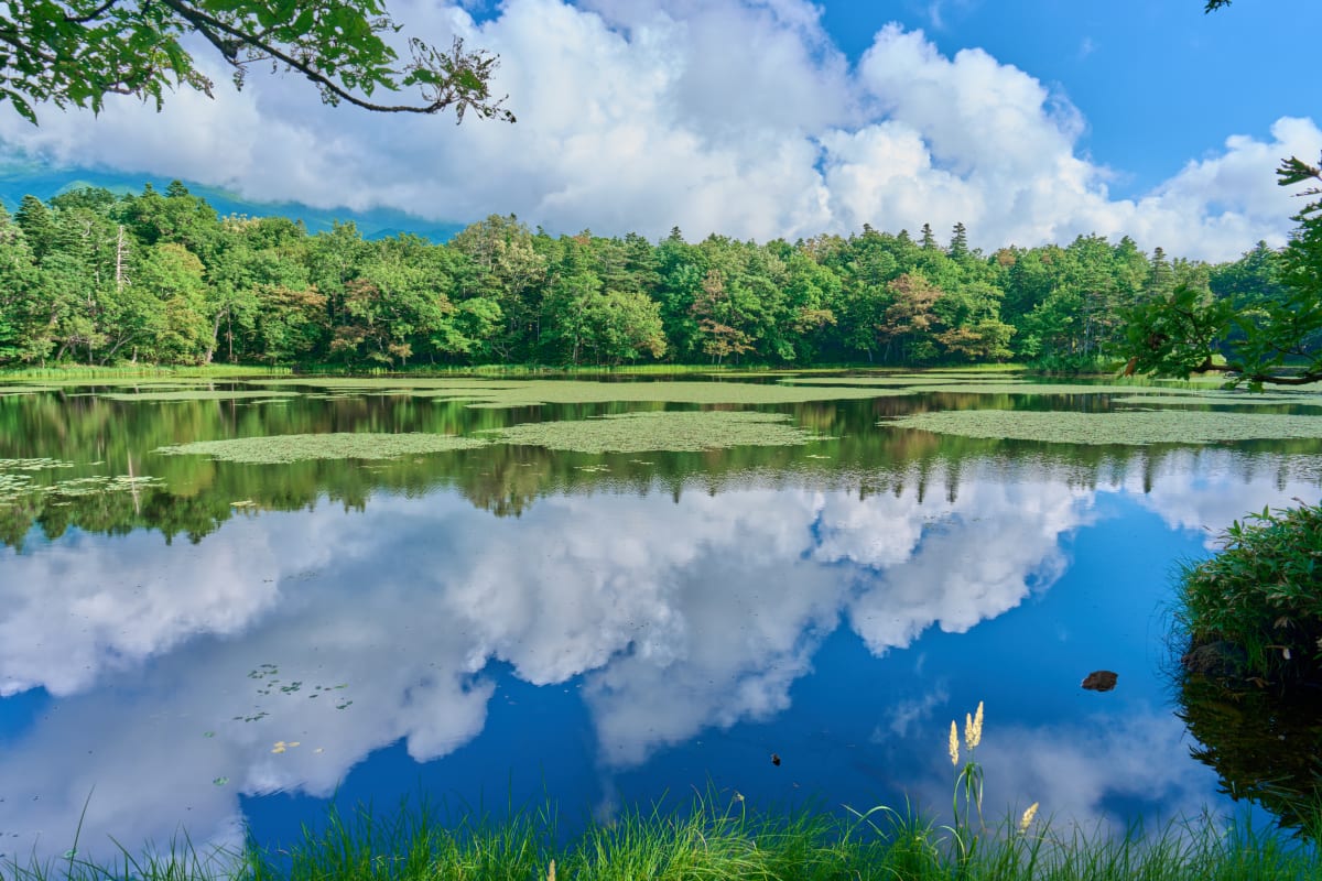 Shiretoko - Hokkaido | Landscapes of Japan