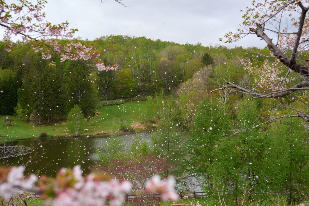 Bibai - Hokkaido | Landscapes of Japan