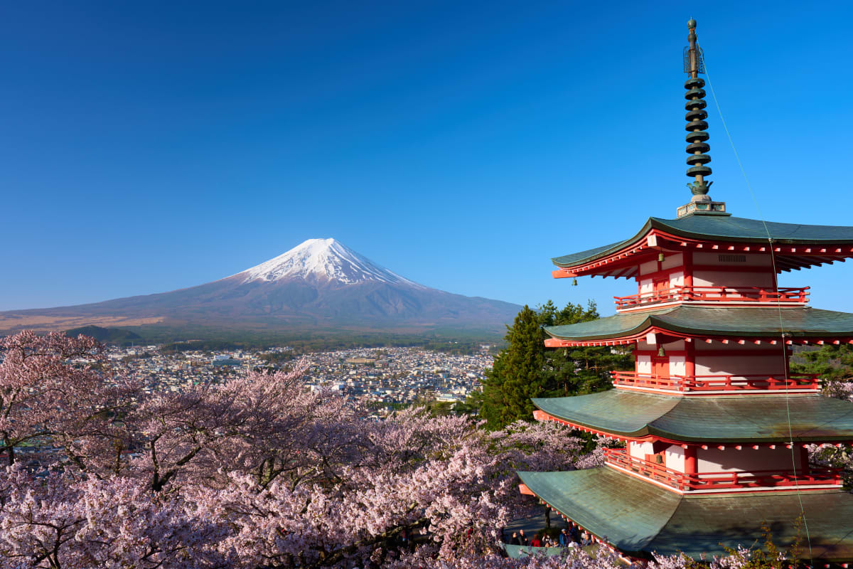 Parc Arakurayama Sengen - Yamanashi | #golden-hour