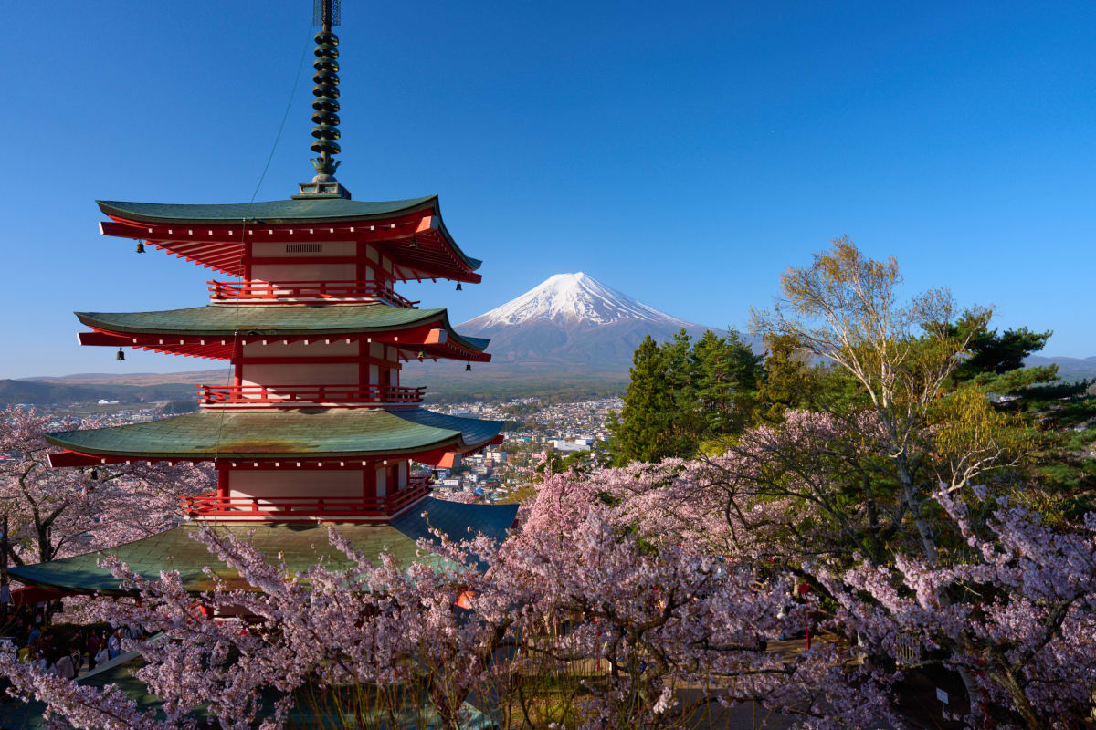 Công viên Arakurayama Sengen - Yamanashi | Landscapes of Japan