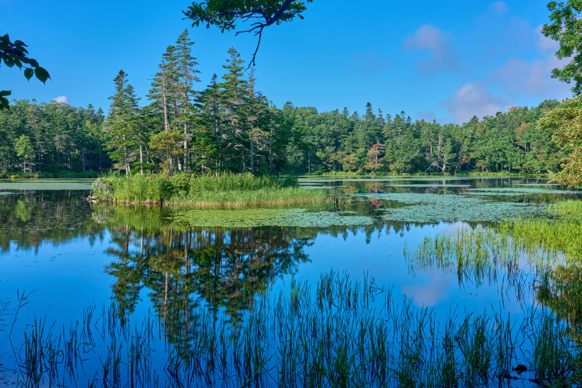 Shiretoko - Hokkaido | Landscapes of Japan