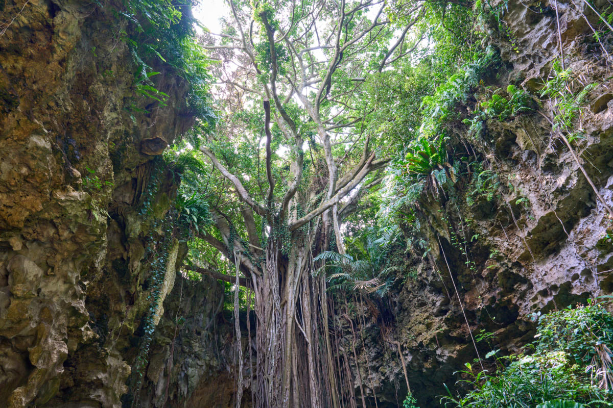 Okinawa - Okinawa | Landscapes of Japan