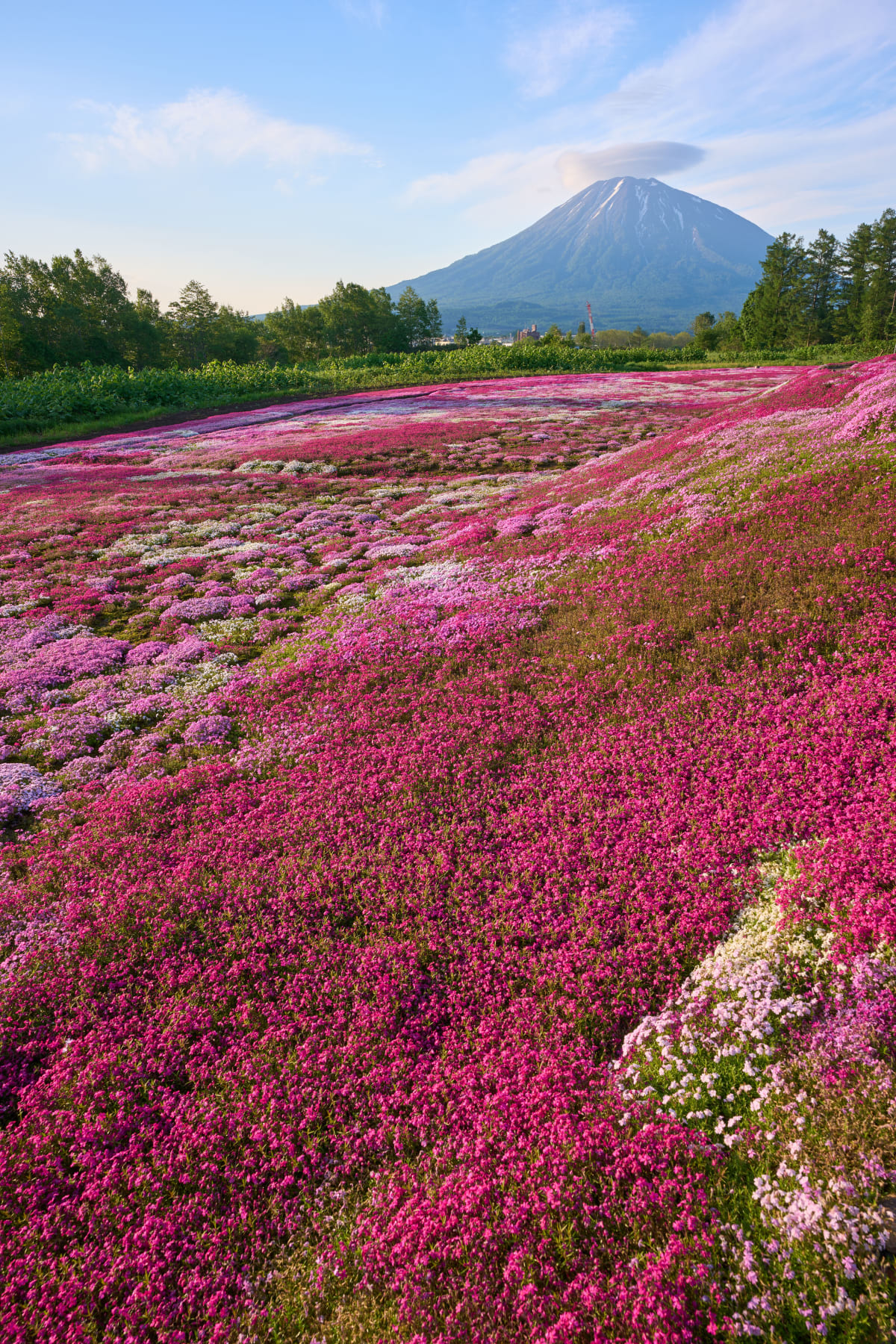 Kutchan (2026) | Hokkaido | Landscapes of Japan
