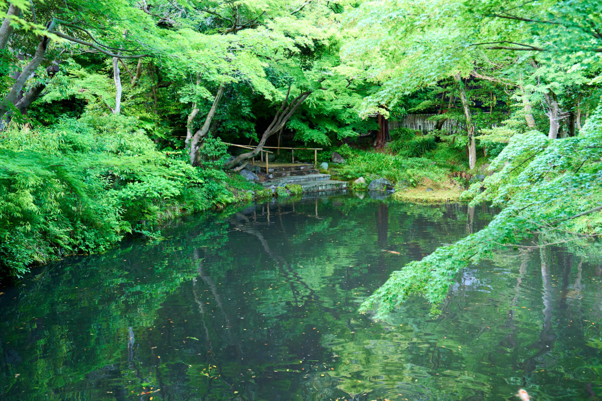 Kamakura - Kanagawa | Landscapes of Japan