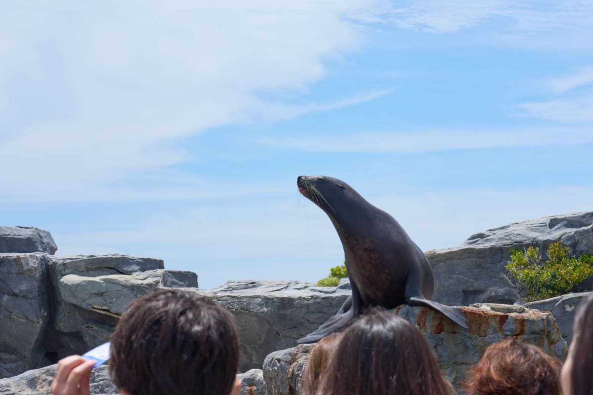 Kamogawa Sea World - Chiba | Landscapes of Japan