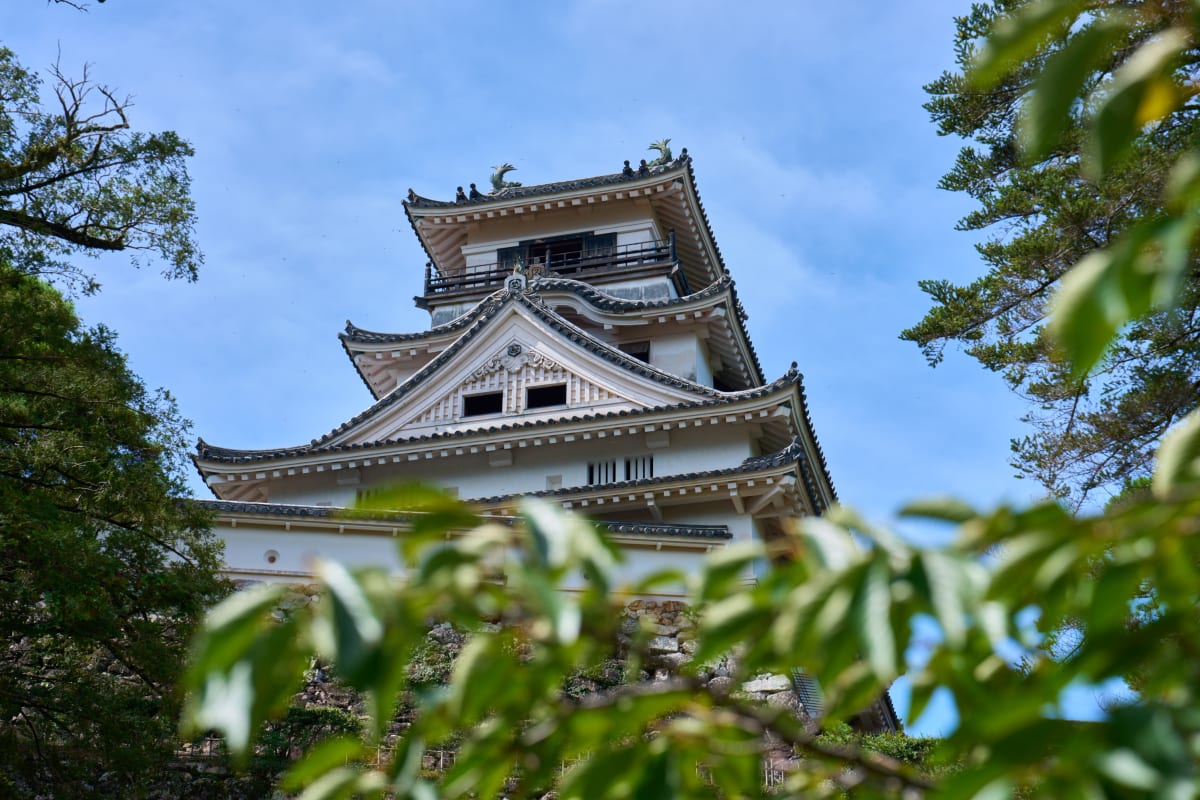 Lâu đài Kochi - Kochi | Landscapes of Japan