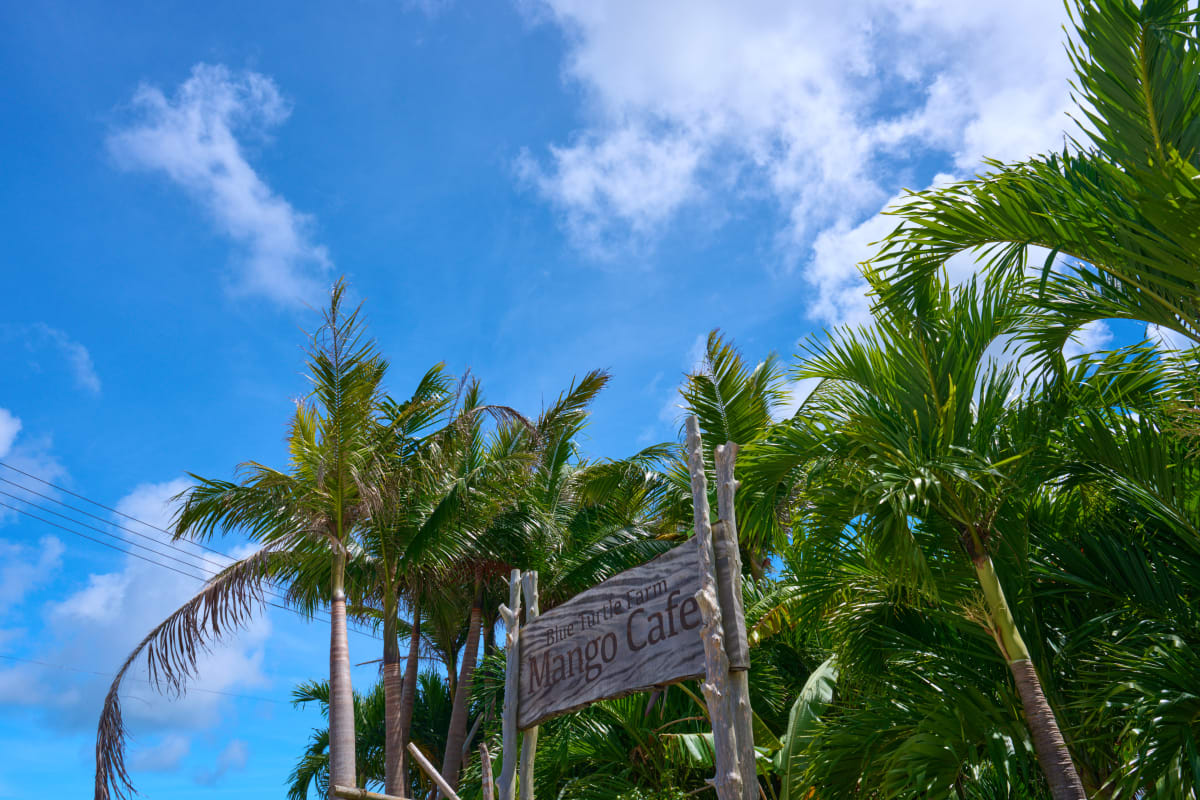 Miyako-jima - Okinawa | #Ocean