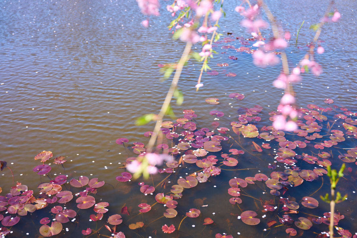 بيباي - هوكايدو | Landscapes of Japan