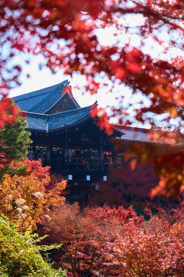 Tofuku-ji - Kioto