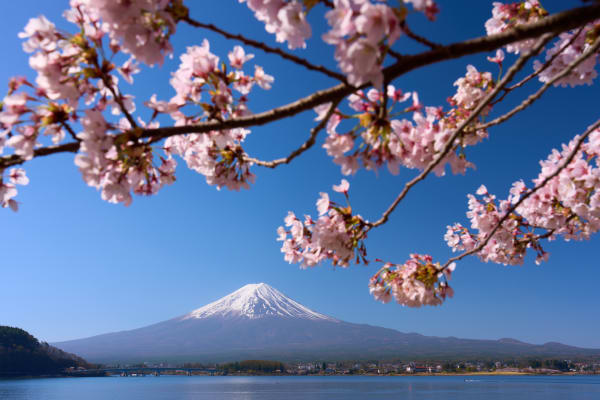 Lake Kawaguchi - Yamanashi