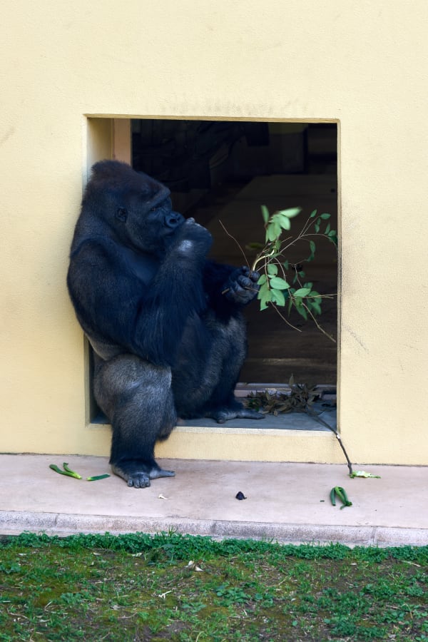 東山動物園 - 愛知県
