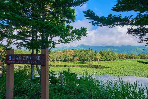 Shiretoko - Hokkaido