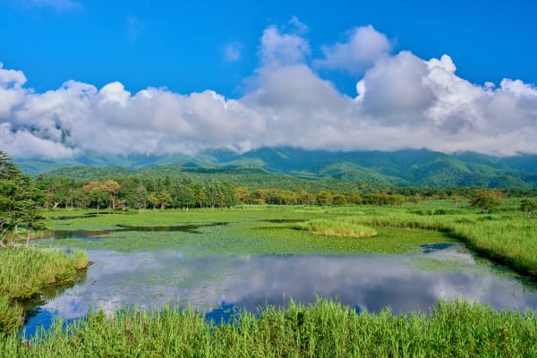 知床 - 北海道