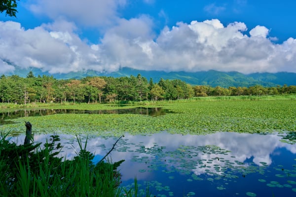 Shiretoko - Hokkaido