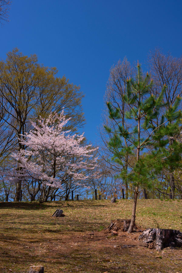 Parque Joyama (Matsumoto) - Nagano