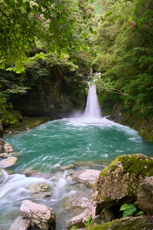 Niko-buchi - Kochi