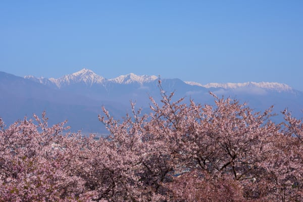 弘法山古墳 - 長野県
