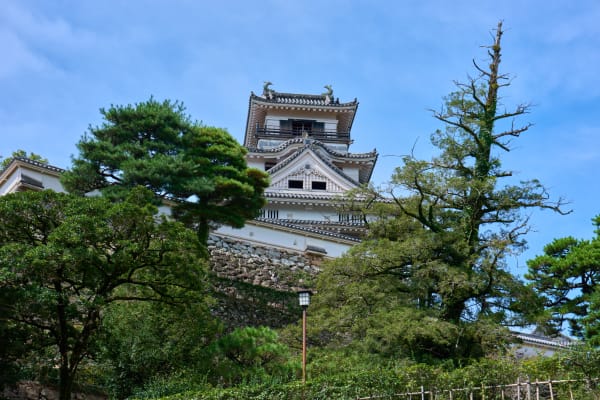 Burg Kochi - Kochi