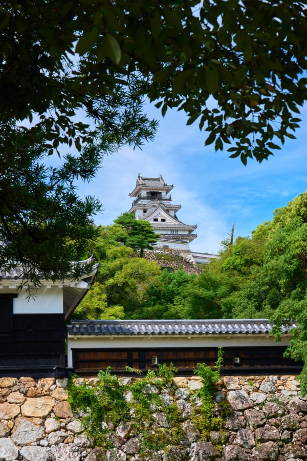 高知城 - 高知県