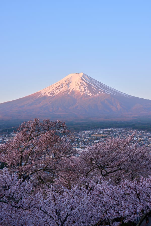 新倉山浅間公園 - 山梨県