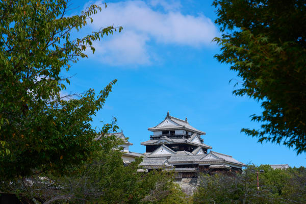松山城 - 愛媛縣