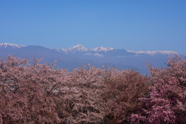 弘法山古墳 - 長野県