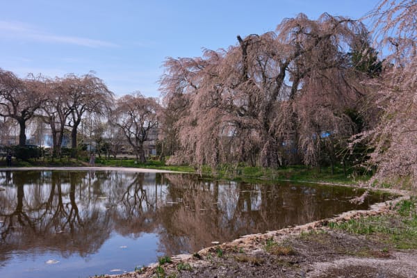 安養寺 - 長野県