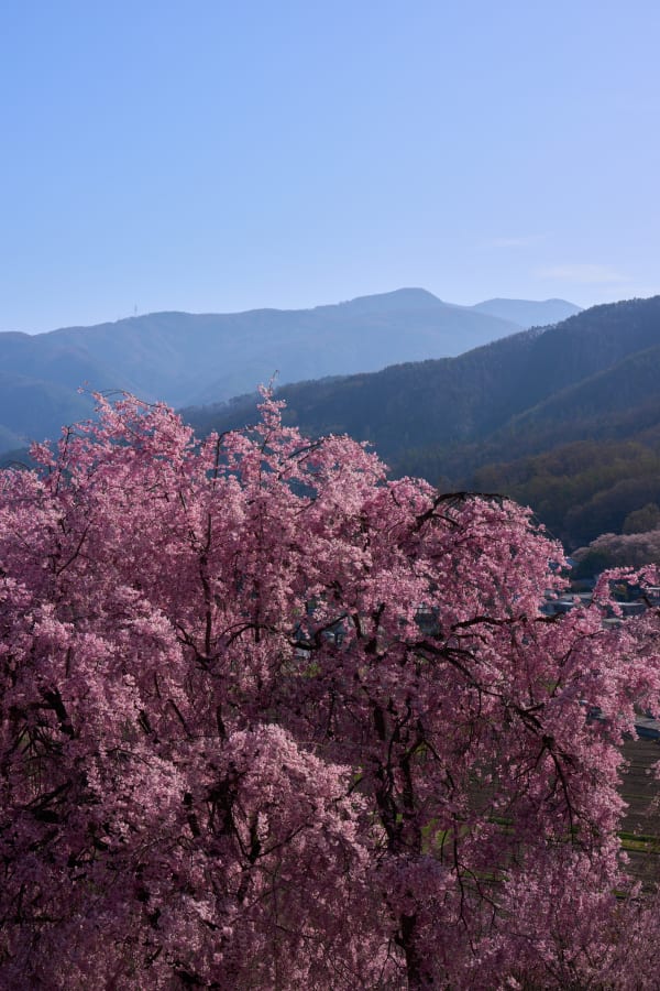 弘法山古墳 - 長野県