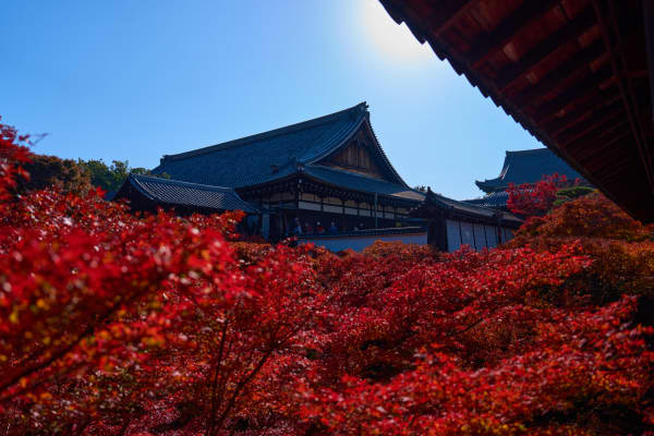 東福寺 - 京都府
