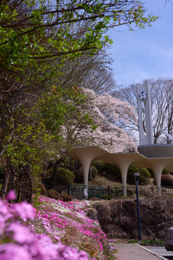 立石公園 - 長野県