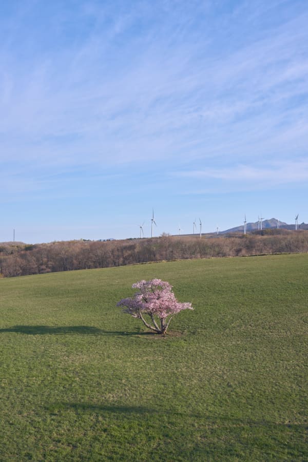 室蘭 - 北海道
