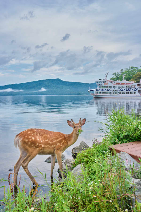 阿寒 - 北海道