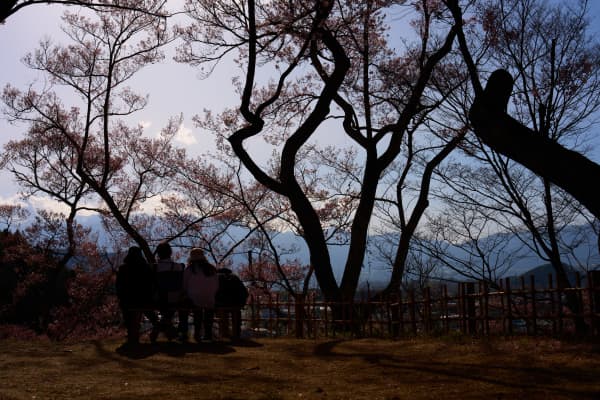 高遠城址公園 - 長野県