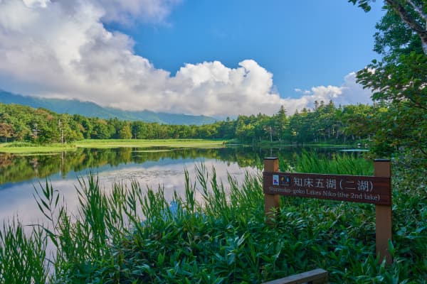 知床 - 北海道