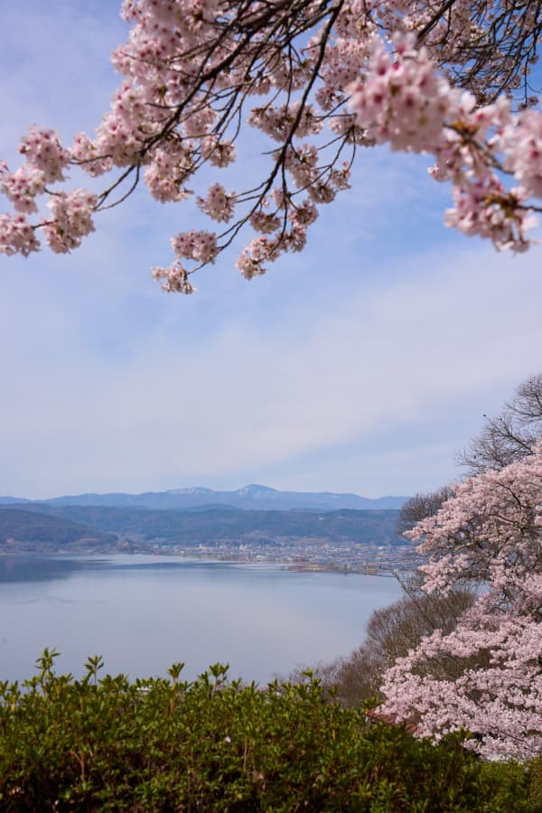 立石公園 - 長野県