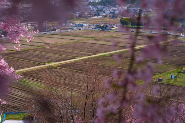 弘法山古墳 - 長野県