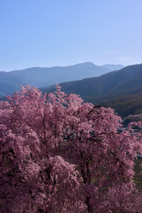 弘法山古墳 - 長野県