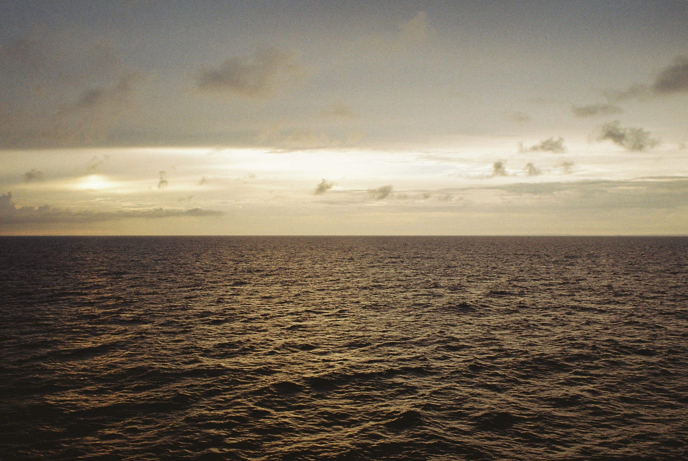 Gallery image 23