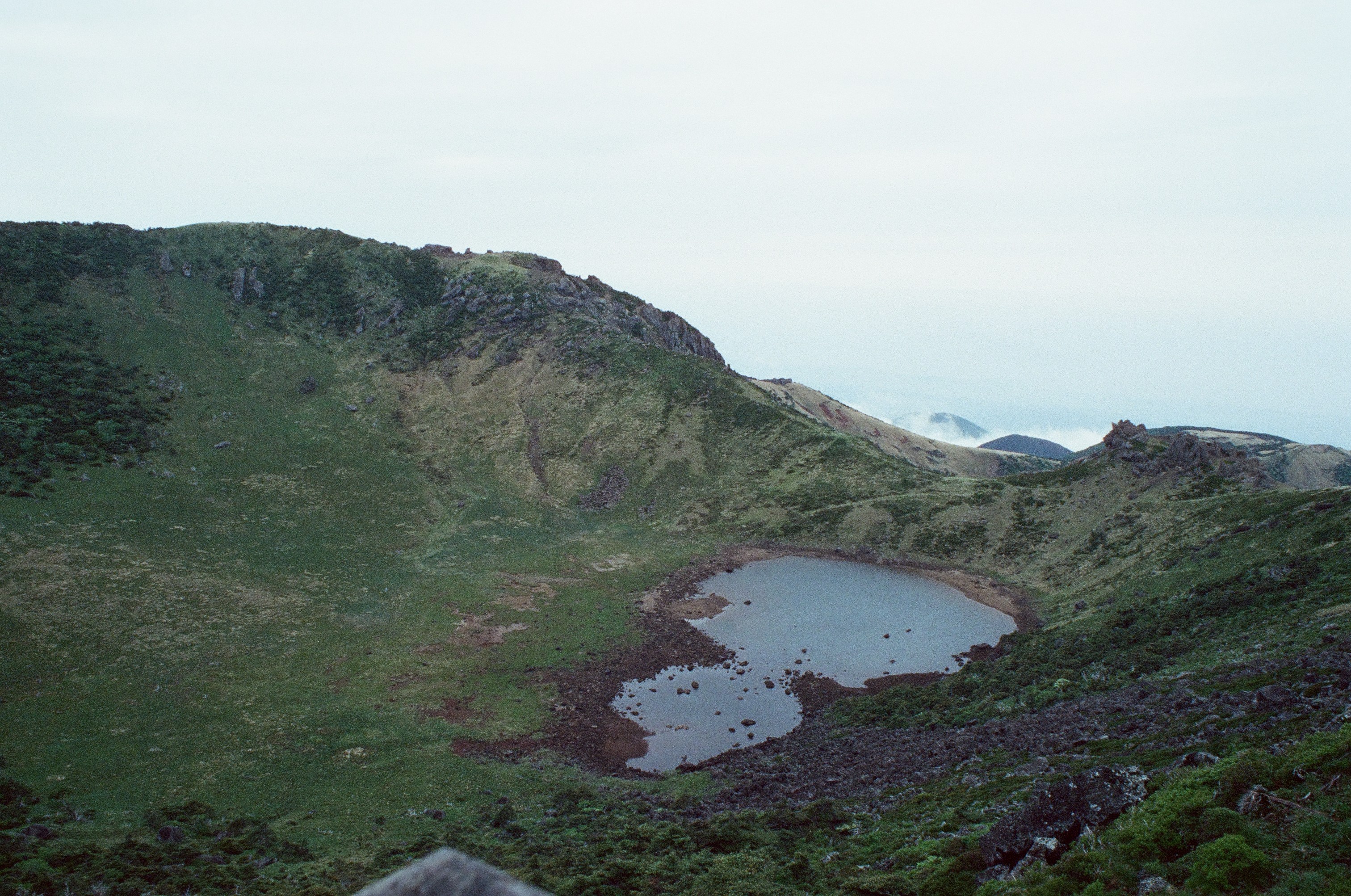 Gallery image 29