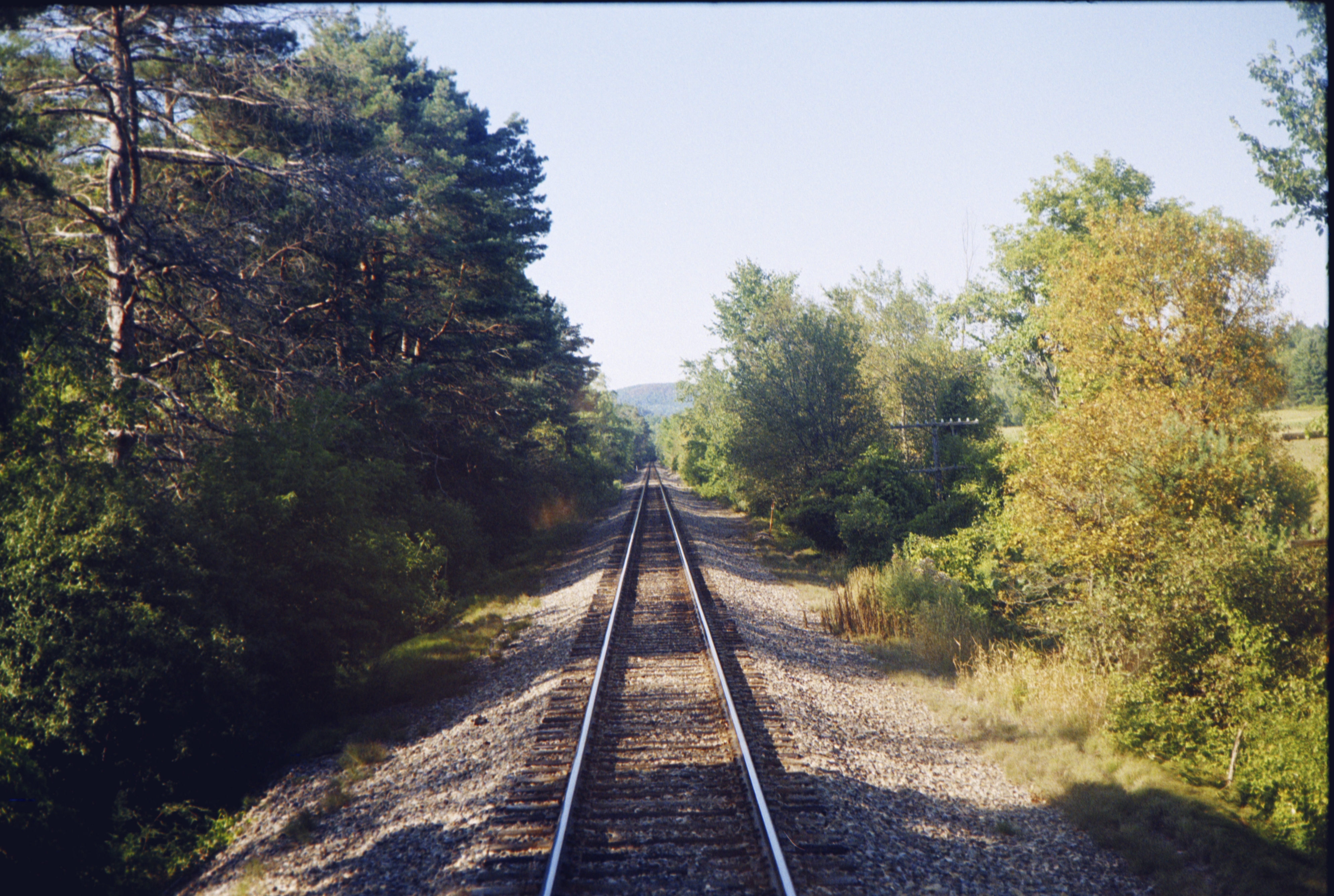 Gallery image 52
